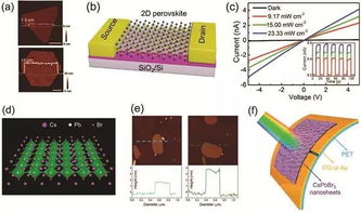 二维材料在卤化物钙钛矿基光电器件中的应用 现状、机遇与挑战